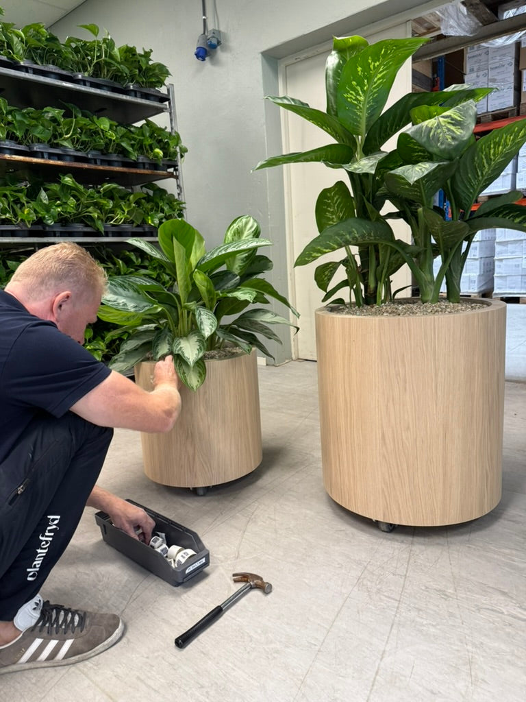 Plantefryd bak kulissene – fra idé og AI-skisse til ferdig møbel