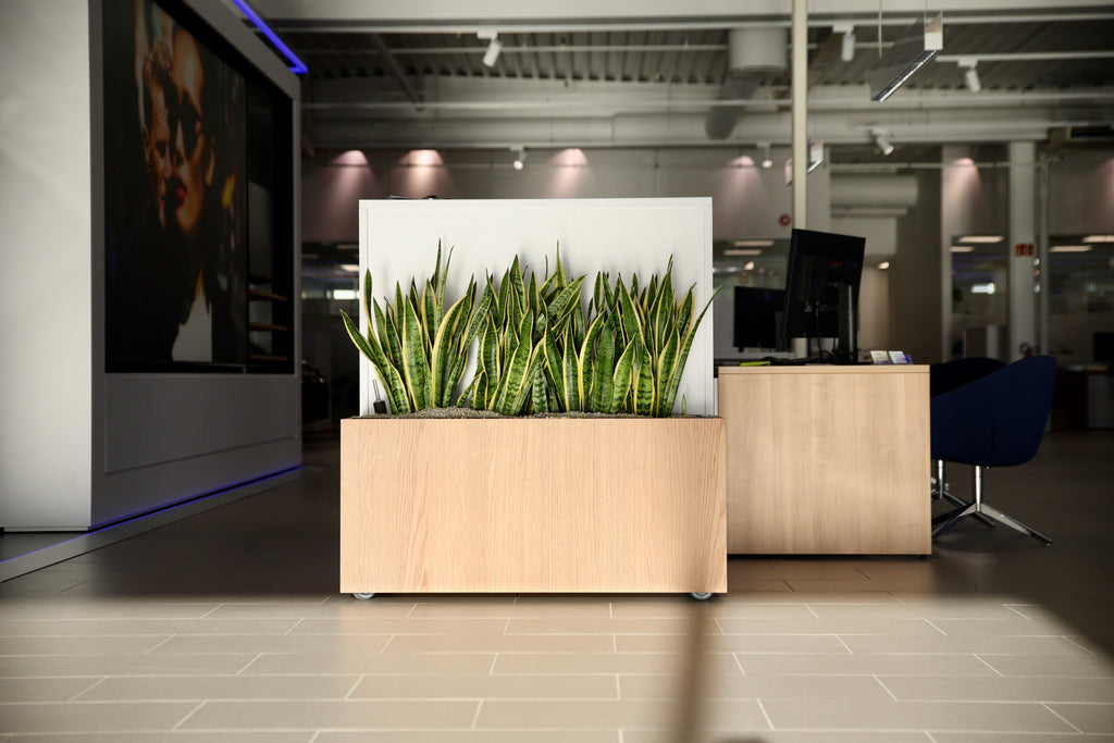 Nytt prosjekt - Møller Bil Asker og Bærum